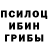 Галлюциногенные грибы Psilocybine cubensis ##########