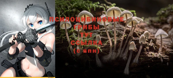 мяу мяу кристалл Алексин
