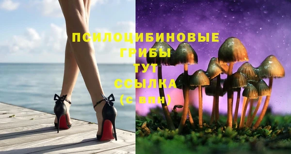 кокаин Алексеевка
